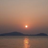 道法自然swq头像