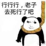 迷路的羊10头像