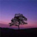 小和尚敲木头的个人资料头像