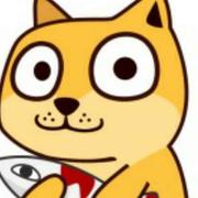 好奇害死猫的个人资料头像