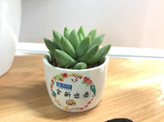 阿杰_的个人资料头像