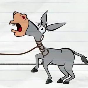 老驴探案头像