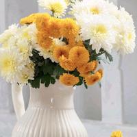 手机用户101430301406头像