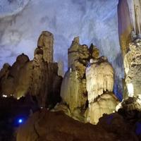 黑镜观测者头像