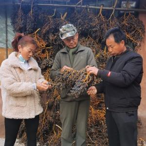 西南魔芋种植专家站头像