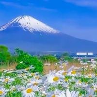 山顶畅快呼山风之爽头像