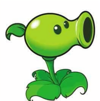 我来贵地学习头像