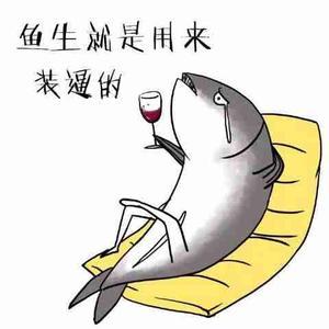 咸鱼的时光头像