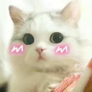 从前慢.头像