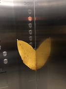 粽子Tinker的个人资料头像