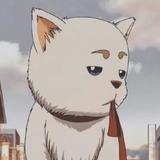 刘光明682头像