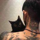 卷不动了的前端的个人资料头像