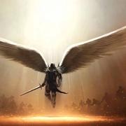 mango365的个人资料头像