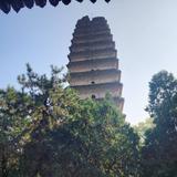 用户349539054621头像