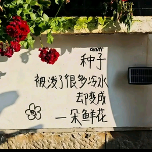 江霖头像