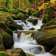 az131499的个人资料头像