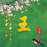富足风铃Xrw头像