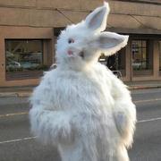 大呆游侠的个人资料头像