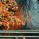 逝水的个人资料头像