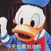一只大河马的个人资料头像