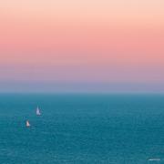 Molly_Rabbit的个人资料头像