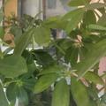 用户1204585334510头像