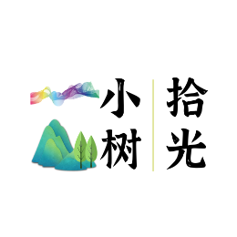 小树拾光头像