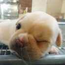 NIAN58860的个人资料头像