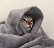 最亮的崽的个人资料头像