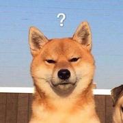 三五十五的个人资料头像