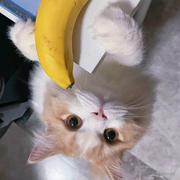 云汐的个人资料头像