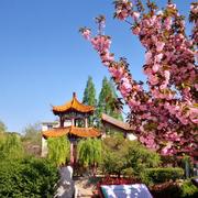 德云515的个人资料头像