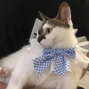 hej的个人资料头像