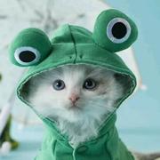 怎么又在偷偷学的个人资料头像