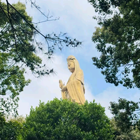 车登本登头像