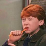 xuzhiheng的个人资料头像