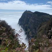 短发阿娟的个人资料头像