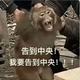 奇幻全斗焕头像