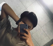 杏木入口的个人资料头像