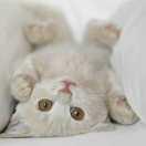 芸儿的个人资料头像