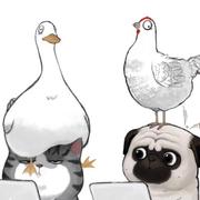 我是一只鱼_的个人资料头像