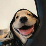 lulaaaa的个人资料头像