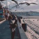 重名了107693的个人资料头像