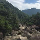 阿的江126头像