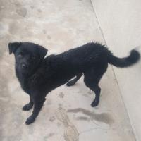 洞悉人心最深处头像