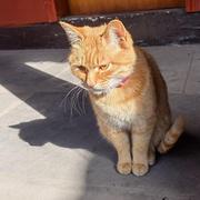 秋与初九的个人资料头像