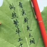 胖哥头像