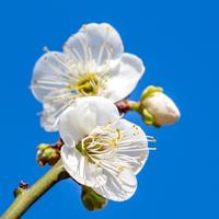 用户4365145524976头像