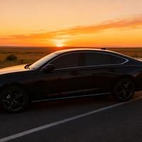 沙漠船长ii头像