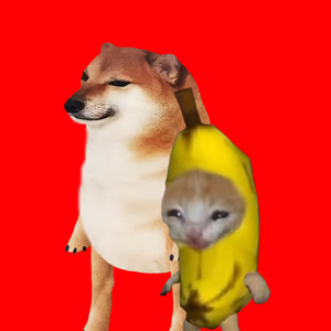 优雅花猫P头像
